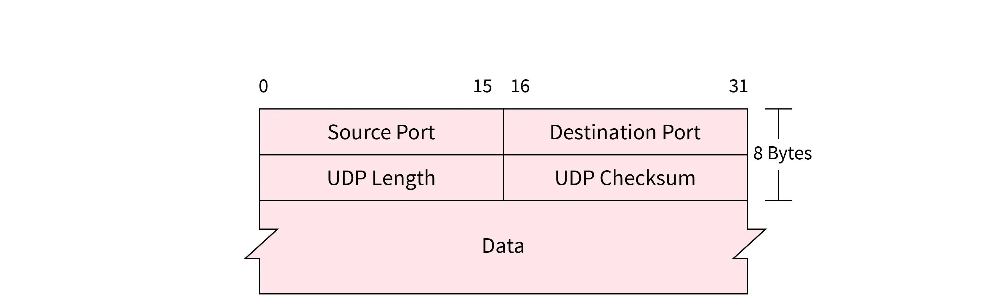 UDP Header